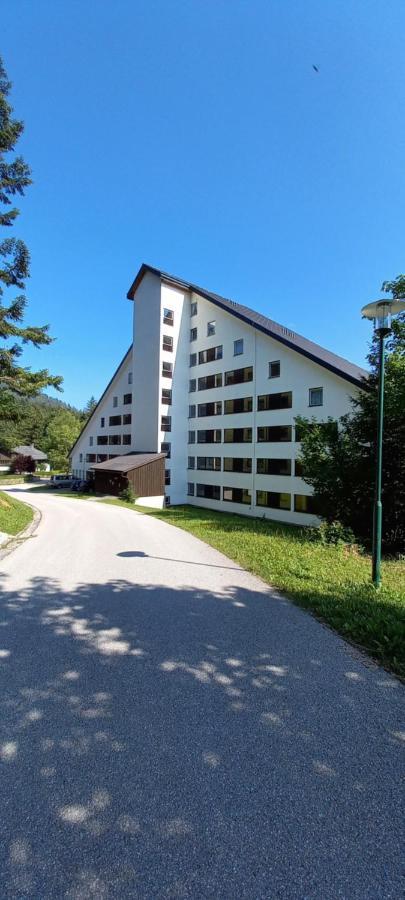 Apartment Kleine Auszeit Bad Mitterndorf Dış mekan fotoğraf